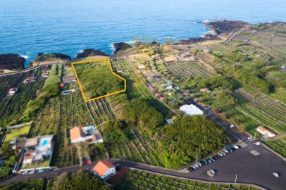 Terreno para Venda em Biscoitos