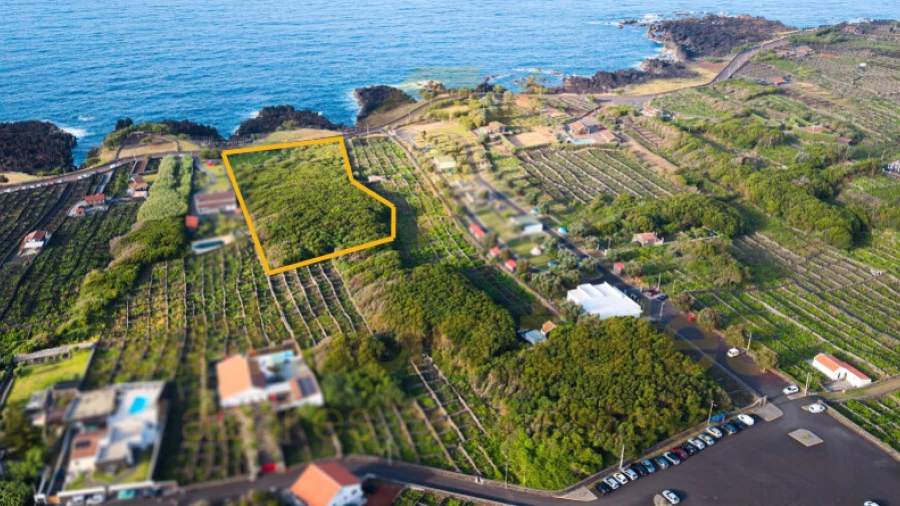 Terreno para Venda em Biscoitos