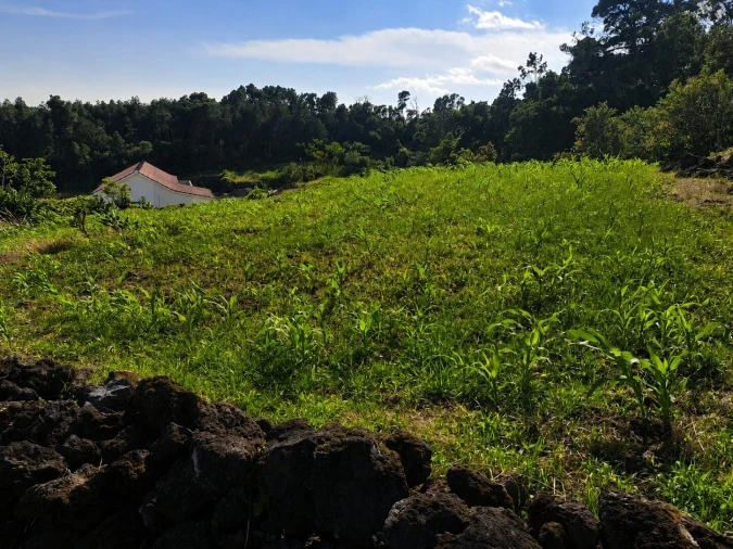 Terreno para Venda em Lajes do Pico Foto 4