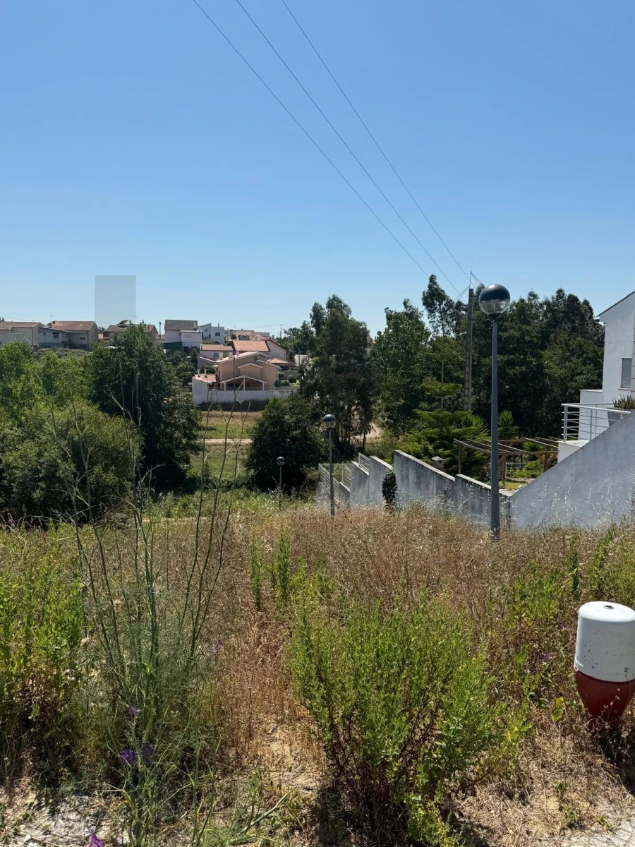Terreno para Venda em Granja do Ulmeiro Foto 3