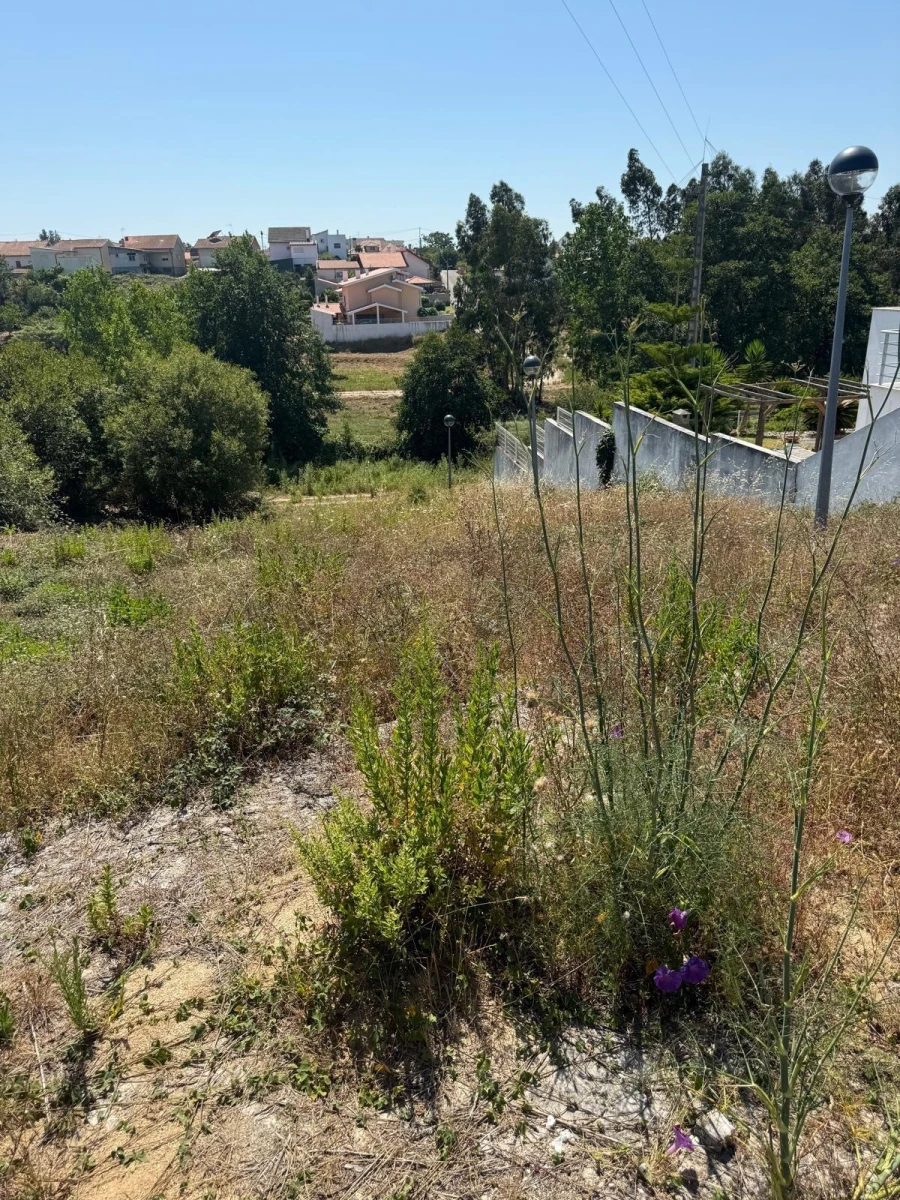 Terreno para Venda em Granja do Ulmeiro Foto 8