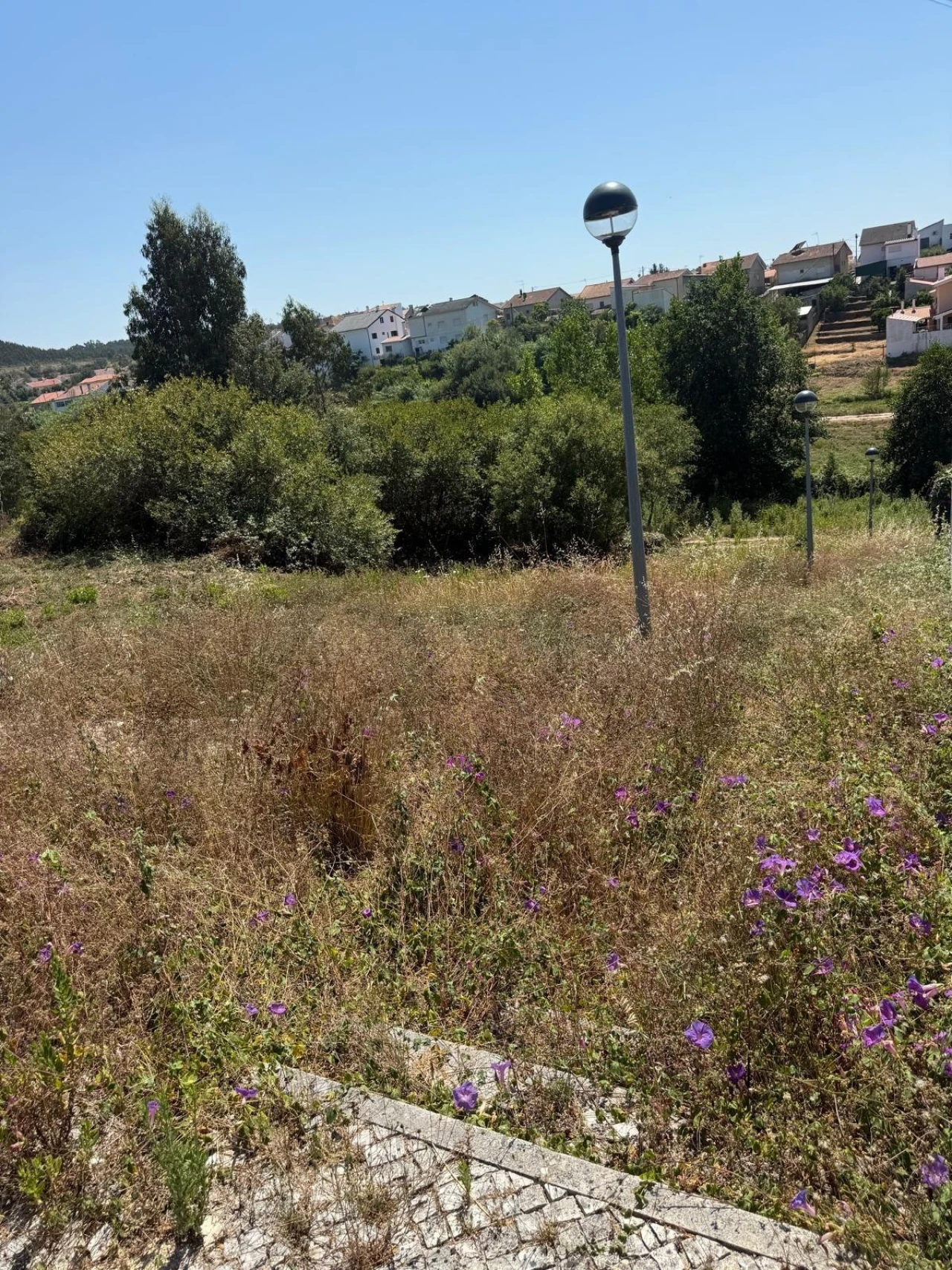 Terreno para Venda em Granja do Ulmeiro Foto 2