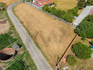 Terreno para Venda em Ílhavo (São Salvador)