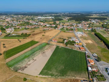 Terreno para Venda em Ílhavo (São Salvador)