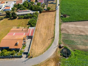 Terreno para Venda em Ílhavo (São Salvador)
