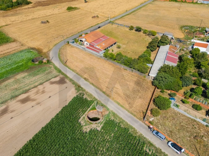 Terreno para Venda em Ílhavo (São Salvador) Foto 2
