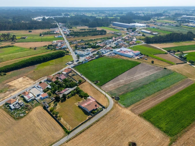 Terreno para Venda em Ílhavo (São Salvador) Foto 6