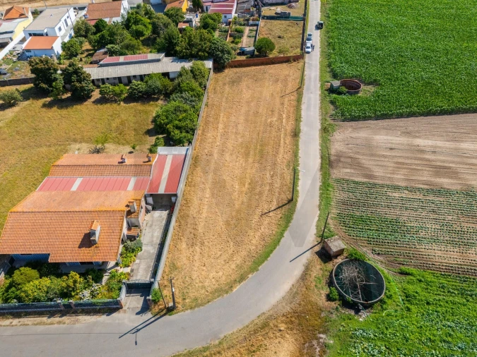 Terreno para Venda em Ílhavo (São Salvador) Foto 4