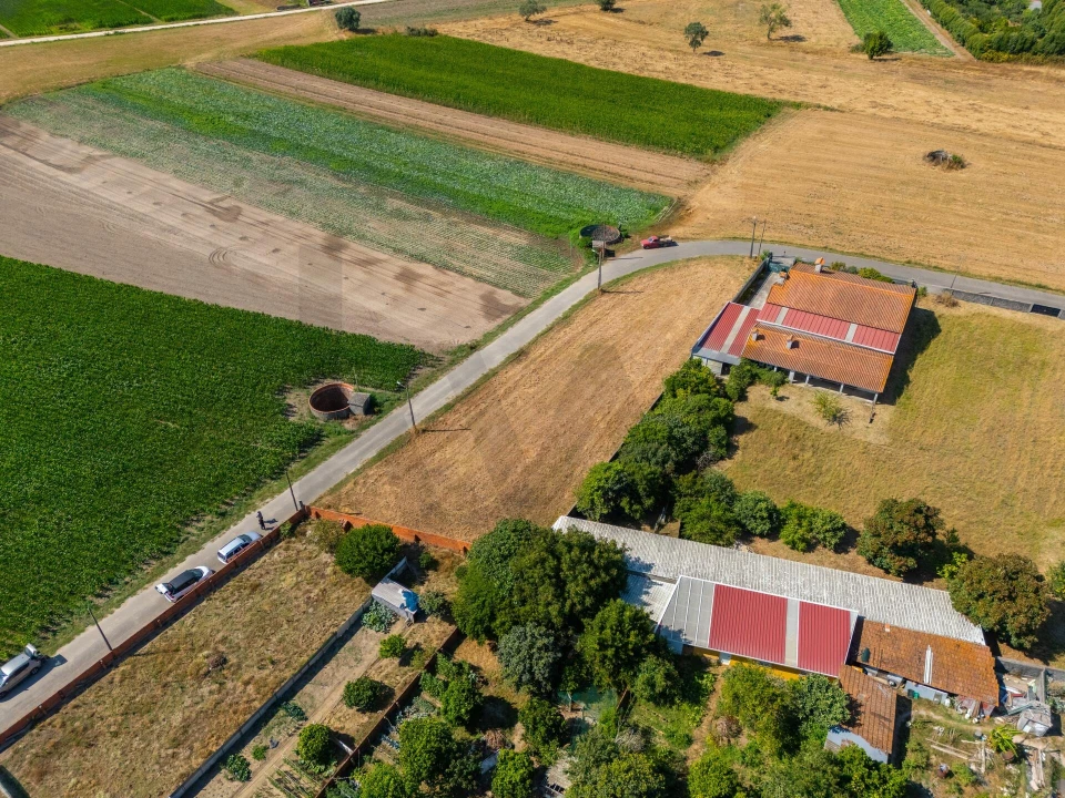 Terreno para Venda em Ílhavo (São Salvador) Foto 10