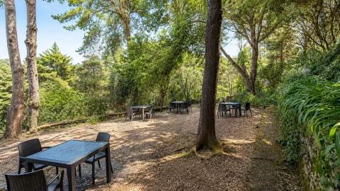 Quinta T10 para Venda em São João das Lampas e Terrugem