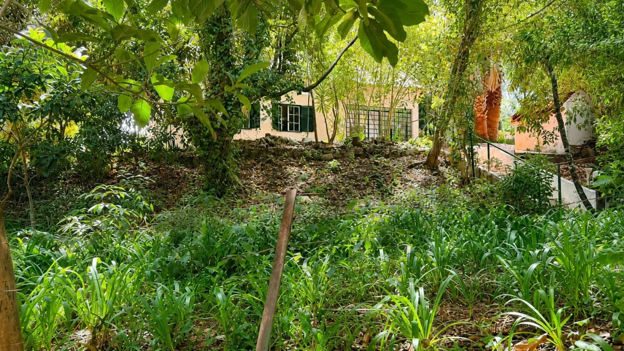 Quinta T10 para Venda em São João das Lampas e Terrugem Foto 1