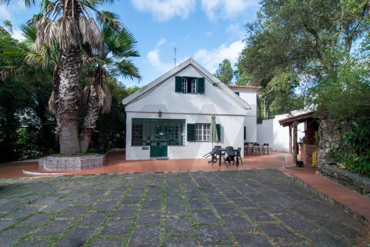Quinta T10 para Venda em São João das Lampas e Terrugem Foto 5