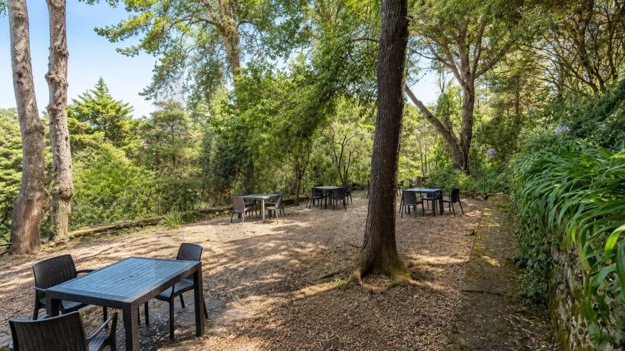 Quinta T10 para Venda em São João das Lampas e Terrugem Foto 8