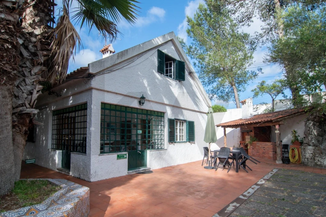 Quinta T10 para Venda em São João das Lampas e Terrugem Foto 4