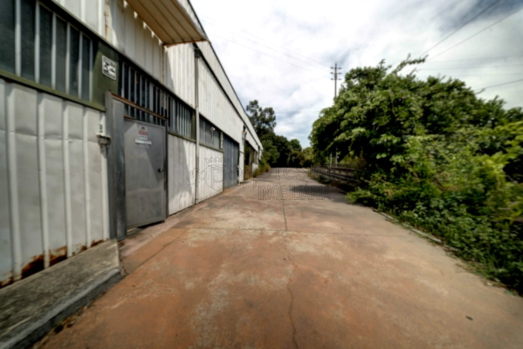 Armazém para Arrendamento em Sande São Lourenço e Balazar Foto 2