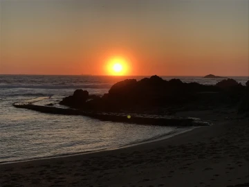 Moradia T7 para Venda em Aldoar, Foz do Douro e Nevogilde