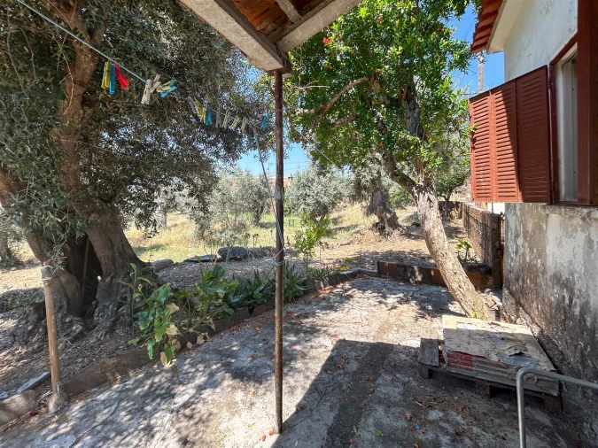 Moradia T3 para Venda em Sarzedas Foto 49