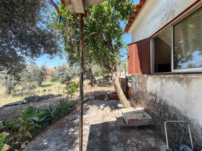 Moradia T3 para Venda em Sarzedas Foto 50