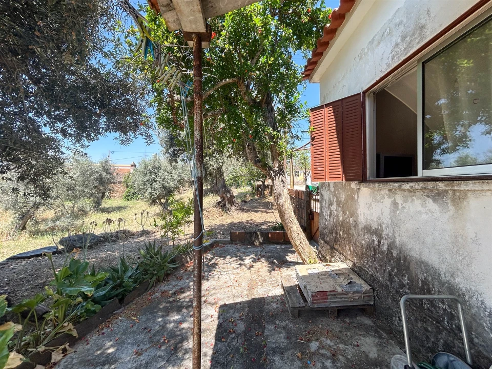 Moradia T3 para Venda em Sarzedas Foto 50