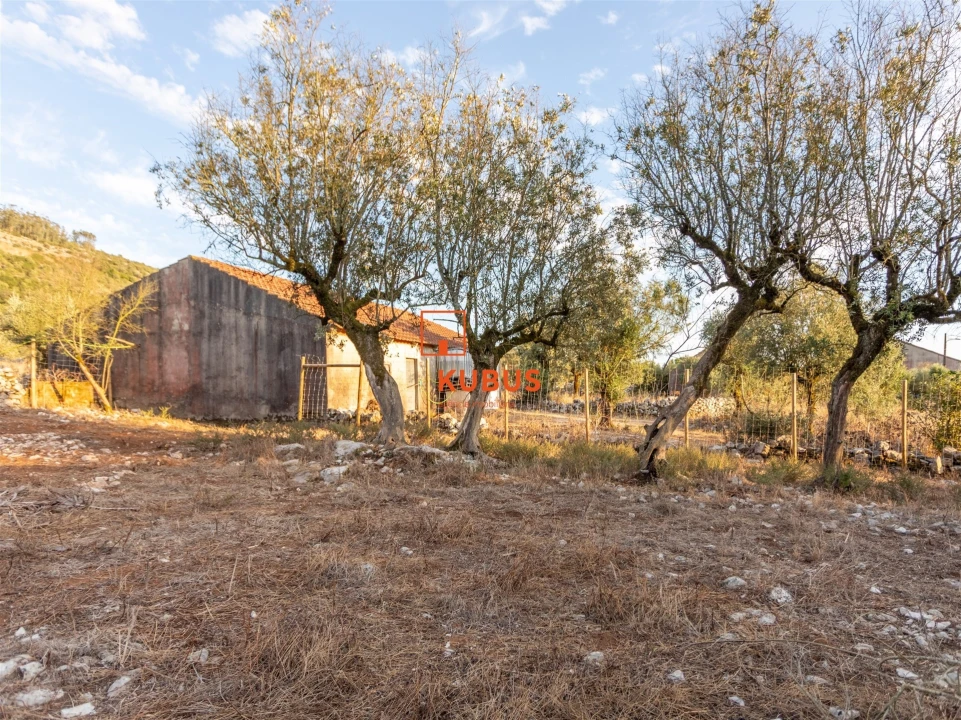 Quinta T3 para Venda em Arrimal e Mendiga Foto 5