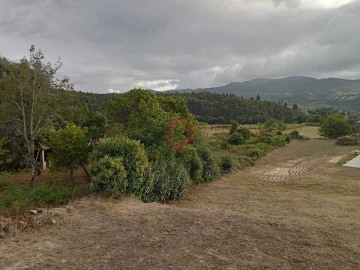Moradia T1 para Venda em Ceivães e Badim