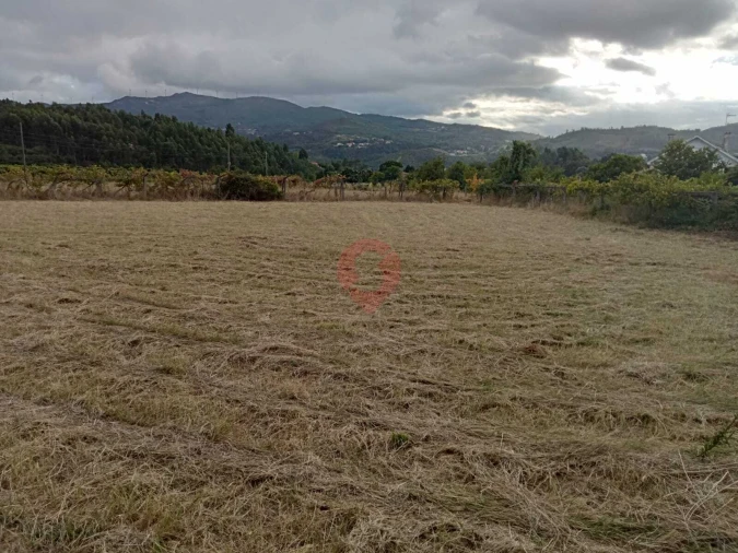 Moradia T1 para Venda em Ceivães e Badim Foto 7