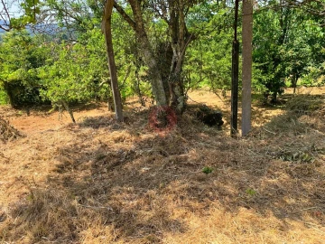 Terreno para Venda em Tangil