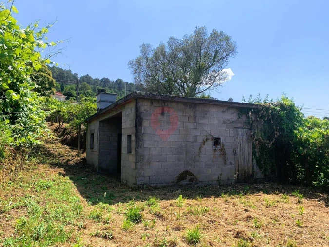 Terreno para Venda em Tangil Foto 6
