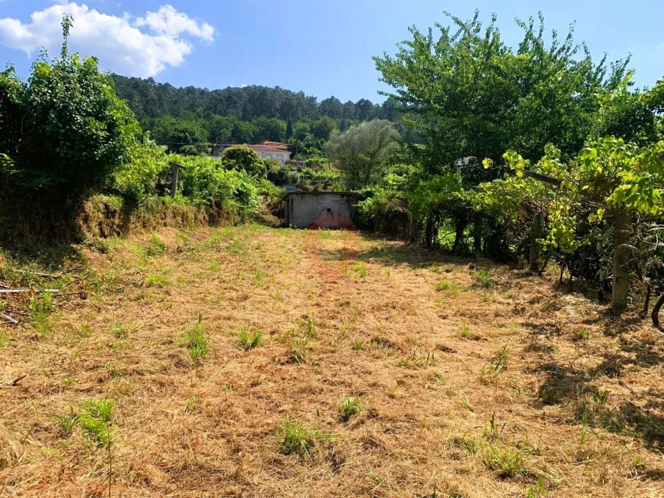 Terreno para Venda em Tangil Foto 3