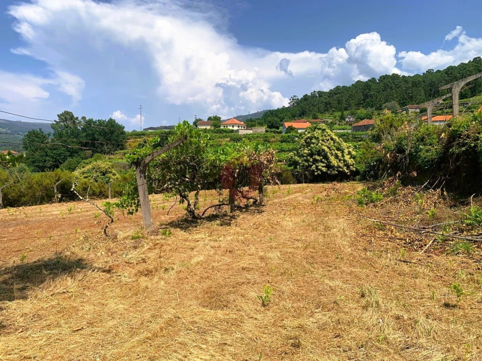 Terreno para Venda em Tangil Foto 4