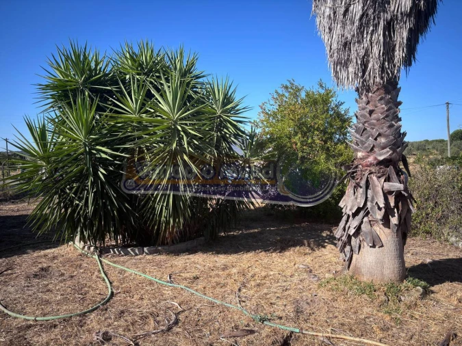 Moradia T4 para Venda em Cabeção Foto 10