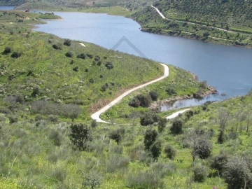 Quinta T6 para Venda em Horta da Vilariça