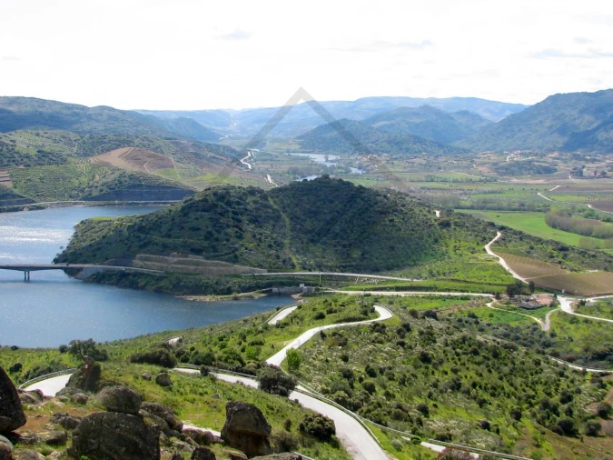 Quinta T6 para Venda em Horta da Vilariça Foto 4
