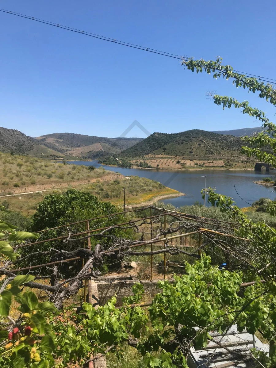 Quinta T6 para Venda em Horta da Vilariça Foto 8