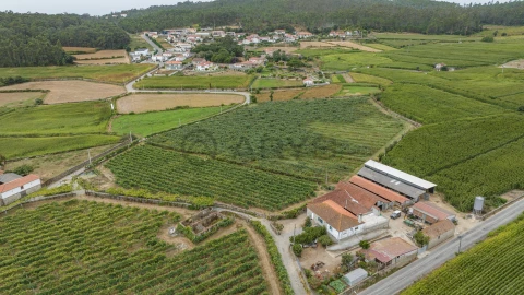 Terreno para Venda em Chorente, Góios, Courel, Pedra Furada e Gueral
