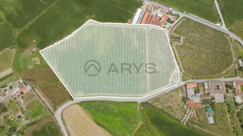 Terreno para Venda em Chorente, Góios, Courel, Pedra Furada e Gueral