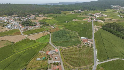 Terreno para Venda em Chorente, Góios, Courel, Pedra Furada e Gueral