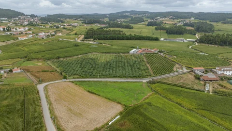 Terreno para Venda em Chorente, Góios, Courel, Pedra Furada e Gueral