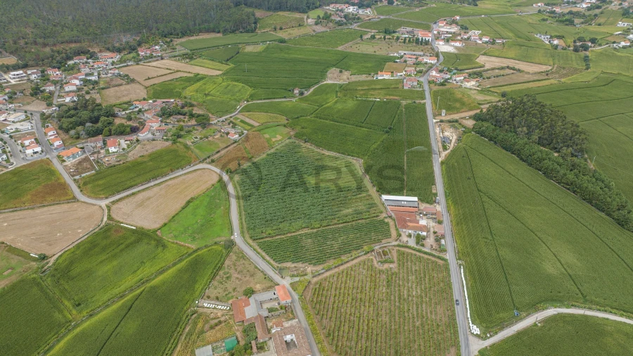 Terreno para Venda em Chorente, Góios, Courel, Pedra Furada e Gueral Foto 12