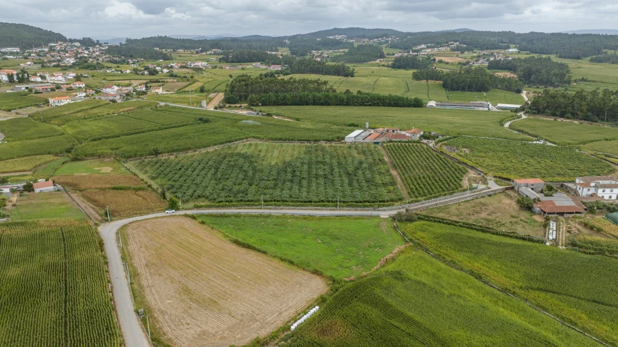 Terreno para Venda em Chorente, Góios, Courel, Pedra Furada e Gueral Foto 6