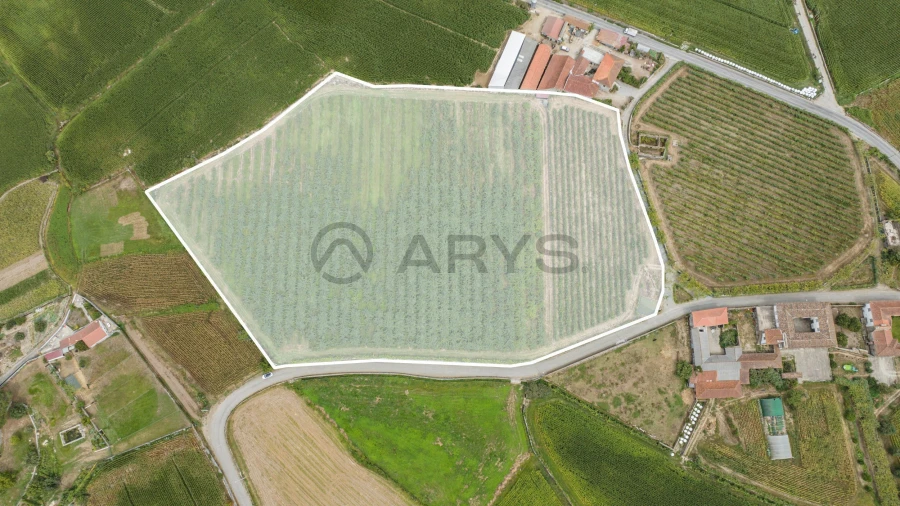 Terreno para Venda em Chorente, Góios, Courel, Pedra Furada e Gueral Foto 4