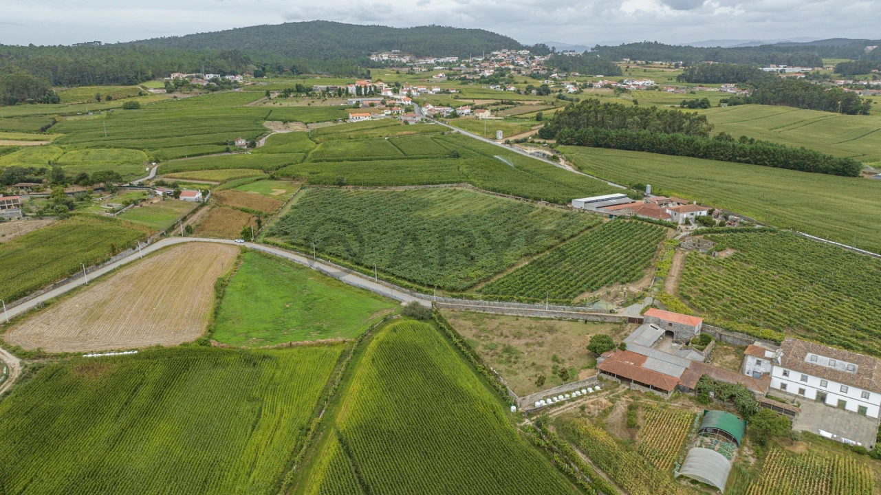 Terreno para Venda em Chorente, Góios, Courel, Pedra Furada e Gueral Foto 5