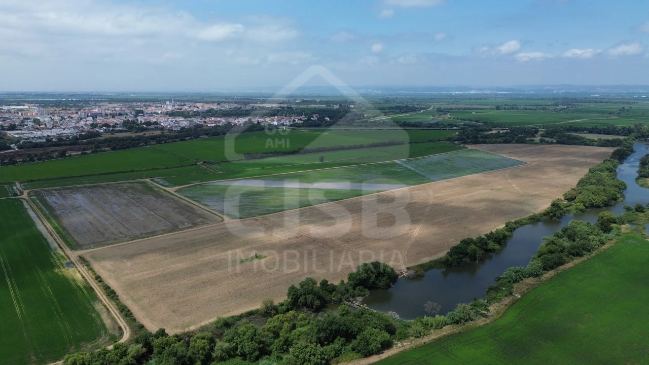 Terreno para Venda em Benavente Foto 1