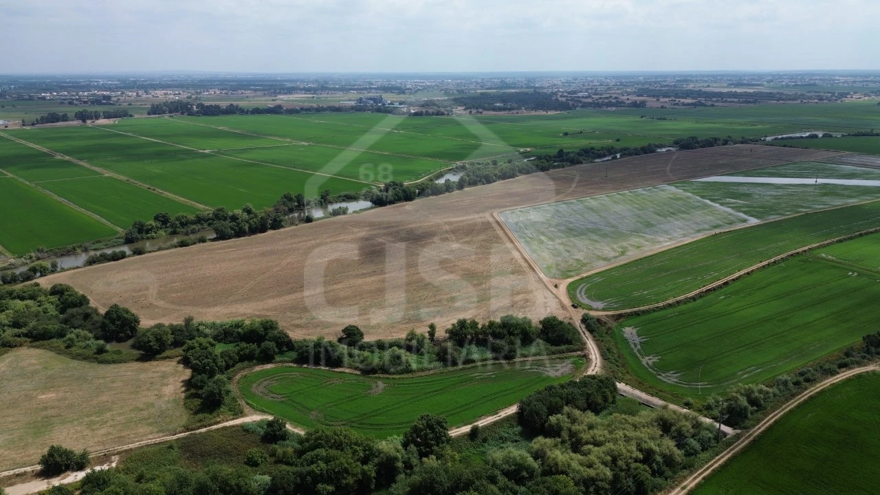 Terreno para Venda em Benavente Foto 6