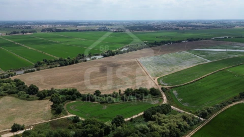 Terreno para Venda em Benavente
