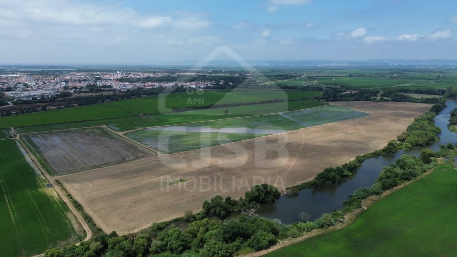 Terreno para Venda em Benavente Foto 2