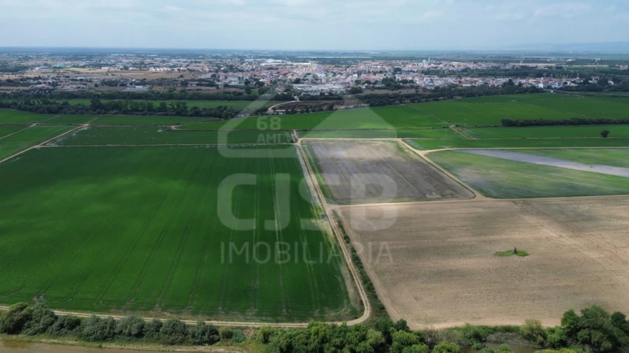 Terreno para Venda em Benavente Foto 3