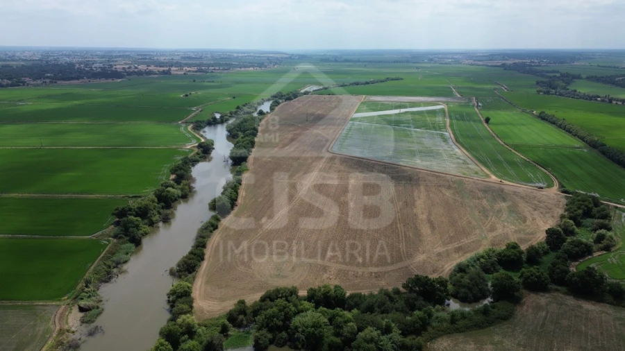 Terreno para Venda em Benavente Foto 4