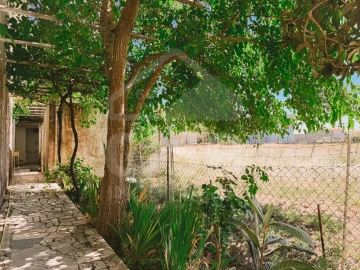 Quinta para Venda em Samora Correia