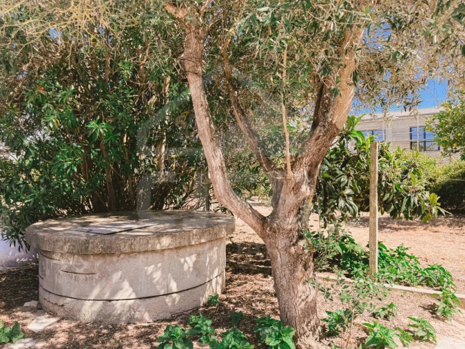 Quinta para Venda em Samora Correia Foto 49